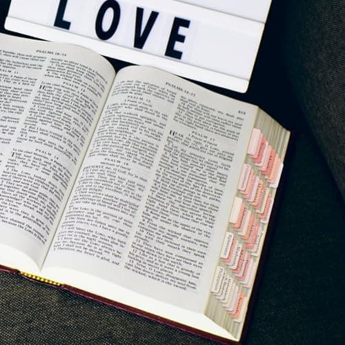 75 Stück Rosa Grau Bible Tabs, einfacher Bible Zubehör für Frauen und Männer bei der Bibelstudie - Bible Register für ei