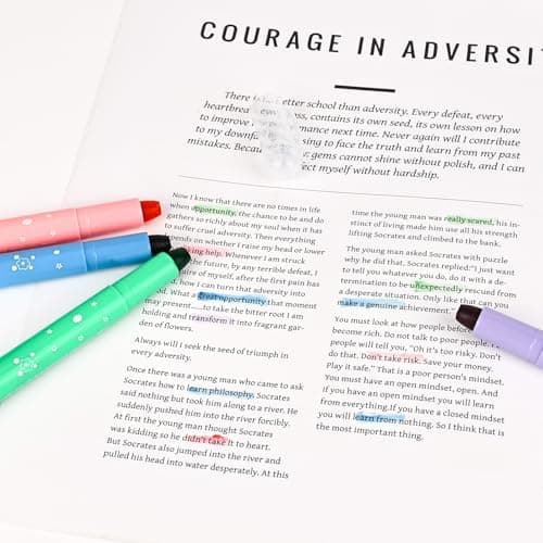 Bibel Textmarker, 12 Farben, No Bleed Dry Fast Highlighter für Tagebuch, Bibel oder Notizbuch im Büro oder Schule