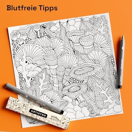 Artistro Fineliner Stifte Set, Wasserfest Tuschestifte, Zeichnen und Illustration, Kalligraphie und Handlettering, 2 Stü