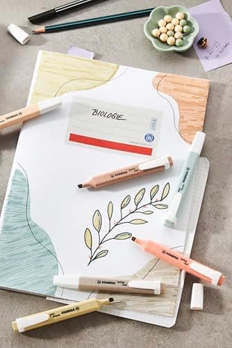 STABILO Textmarker swing cool NatureCOLORS - Farben für Kids - Schulzeit -reative Malerei - 6 Stifte - Naturfarben