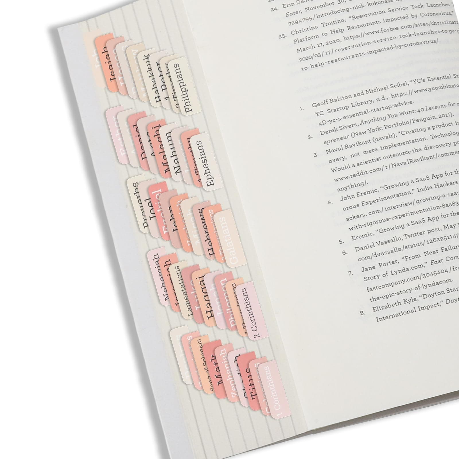 75 Stück Rosa Grau Bible Tabs, einfacher Bible Zubehör für Frauen und Männer bei der Bibelstudie - Bible Register für ei